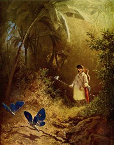 The butterfly hunter